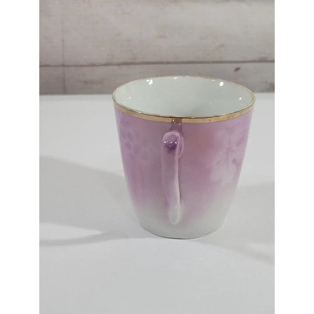 German Souveneir Cup Blick auf Herrnskretschen Gruss aus Schona Pink White Vtg